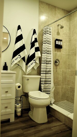 Shower, towels, soap, toilet paper - Cozy Guesthouse w/ private patio. Spring Hill (Spring Hill)