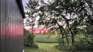 Ländliche Landschaft mit einem Holzhaus, Bäumen und einem Feld.