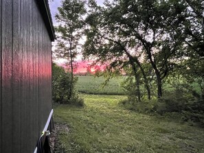 A rural landscape with a wooden building, trees, and a field.