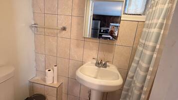 Shower, towels, soap, toilet paper
