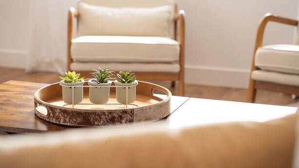 Bandeja redonda de madeira com três plantas em vasos sobre uma mesa.