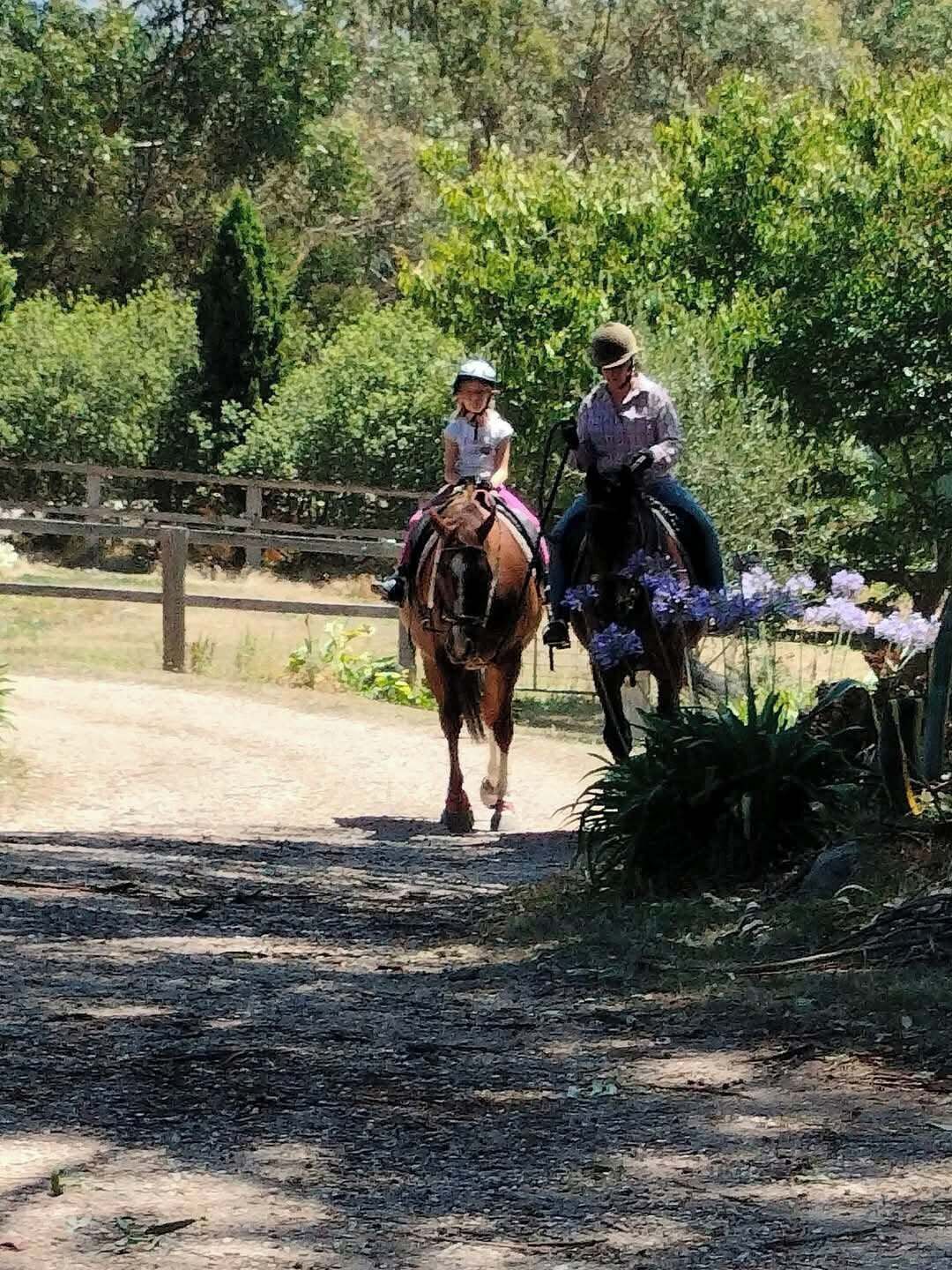 Ein Reiter mit Pferd auf einem Feldweg, im Hintergrund eine Holzzaun und Grünpflanzen.