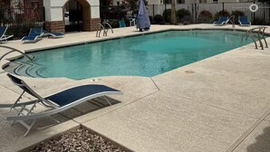 En swimmingpool med liggestole, en parasol og en palme.