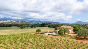 Un vignoble avec des rangées de vignes, une piscine et un bâtiment doté d’un toit rouge.