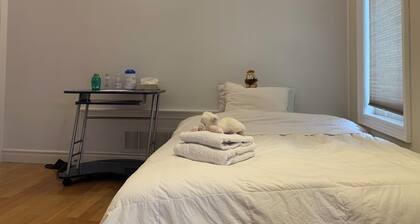 Nice clean Cozy new renovated basement apartment with separate entrance