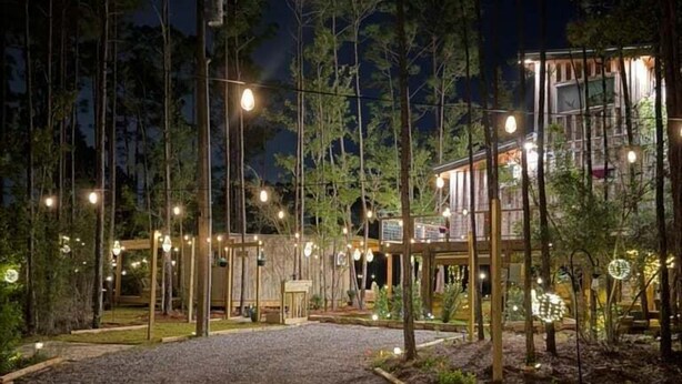 Un vialetto sterrato che conduce a un edificio circondato da alberi, con luci a stringa sospese sopra.