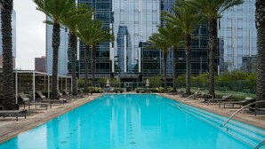 Ein Pool mit Liegestühlen und Palmen, umgeben von einem modernen Gebäude mit Glasfenstern.