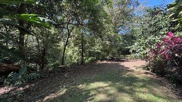 A pathway through a forested area with a picnic table and a blue hose on the ground.