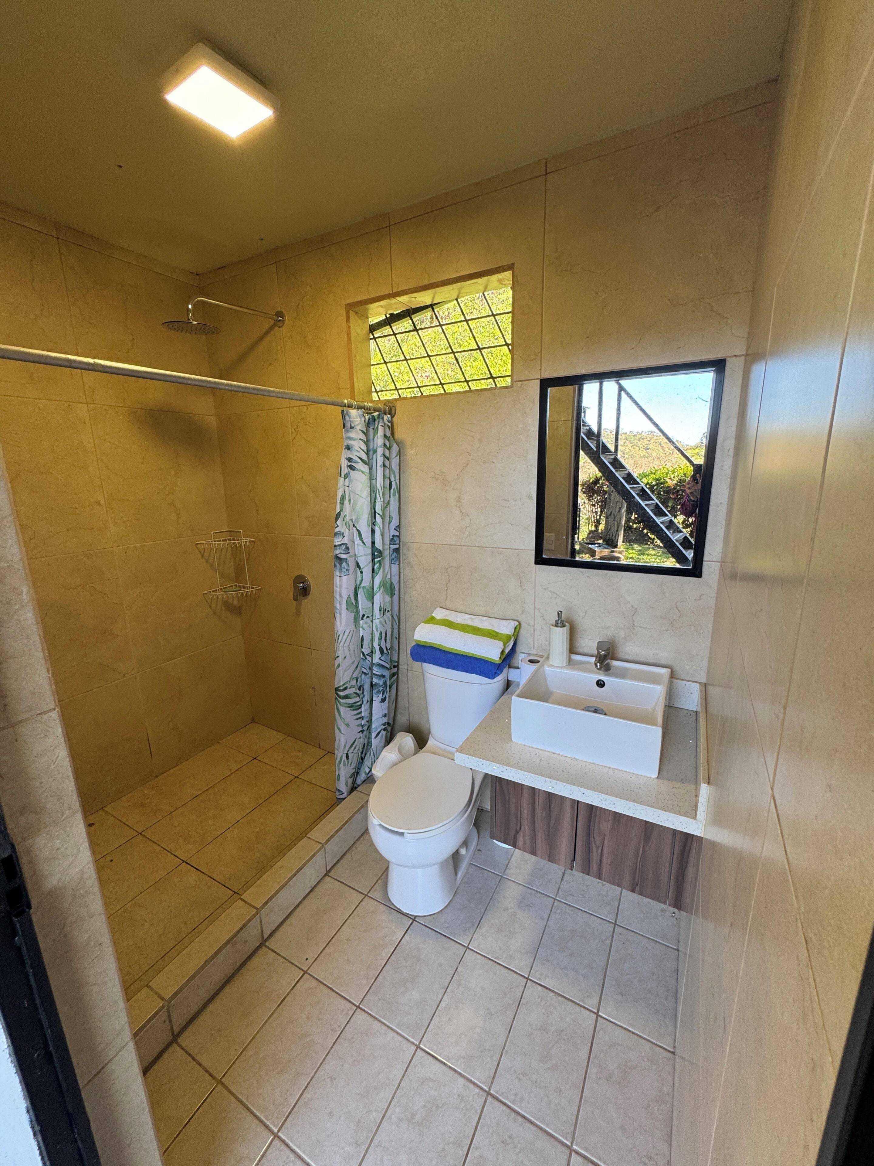 Dusche, Handtücher, Toilettenpapier
