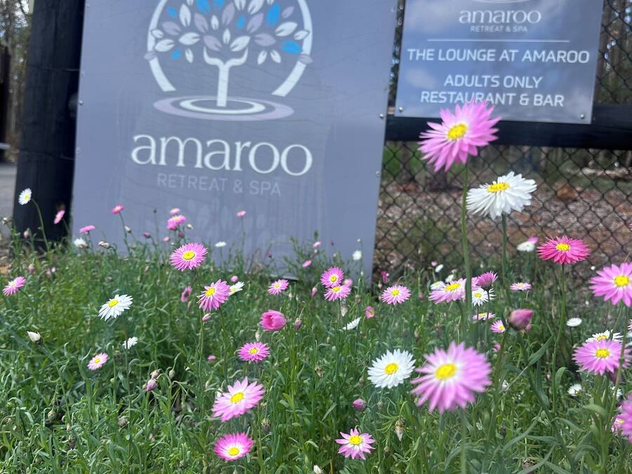 Señal de Amaroo Retreat & Spa con logotipo e indicación de que es un restaurante y bar solo para adultos.