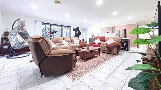 Una sala de estar con un sofá, un sillón colgante, una mesa de centro y una planta grande.