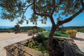 Eine Terrasse mit Baum, Meerblick und einer Rasenfläche.