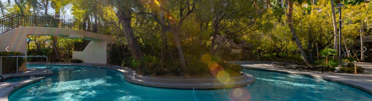 Een zwembad omringd door bomen en een brug.
