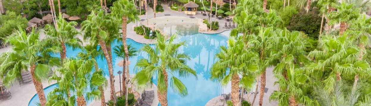Une piscine entourée de palmiers, avec un kiosque et des chaises longues en arrière-plan.