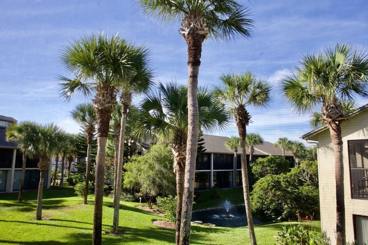 A courtyard with palm trees, a fountain, and a building with large windows.