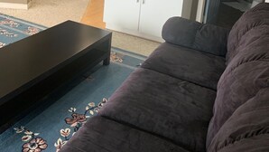 A modern living room with a dark sofa, a black coffee table, and a kitchen area with white cabinets and appliances. - One Bedroom Basement apartment on Red River bank (Selkirk)