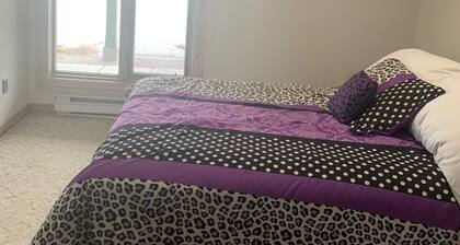 One Bedroom Basement apartment on Red River bank