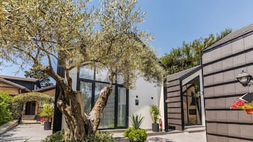 House | 1 bedroom