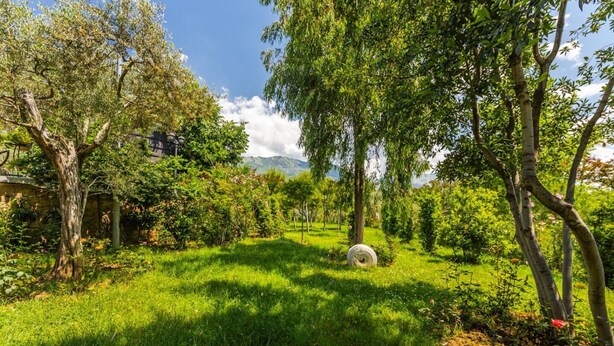 A lush garden with trees, a grassy area, and a stone wall. - Muraga Villas 7 Kupola (Dajt)