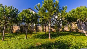 A residential area with stone walls, pine trees, and a house with a balcony. - Muraga Villas 7 Kupola (Dajt)
