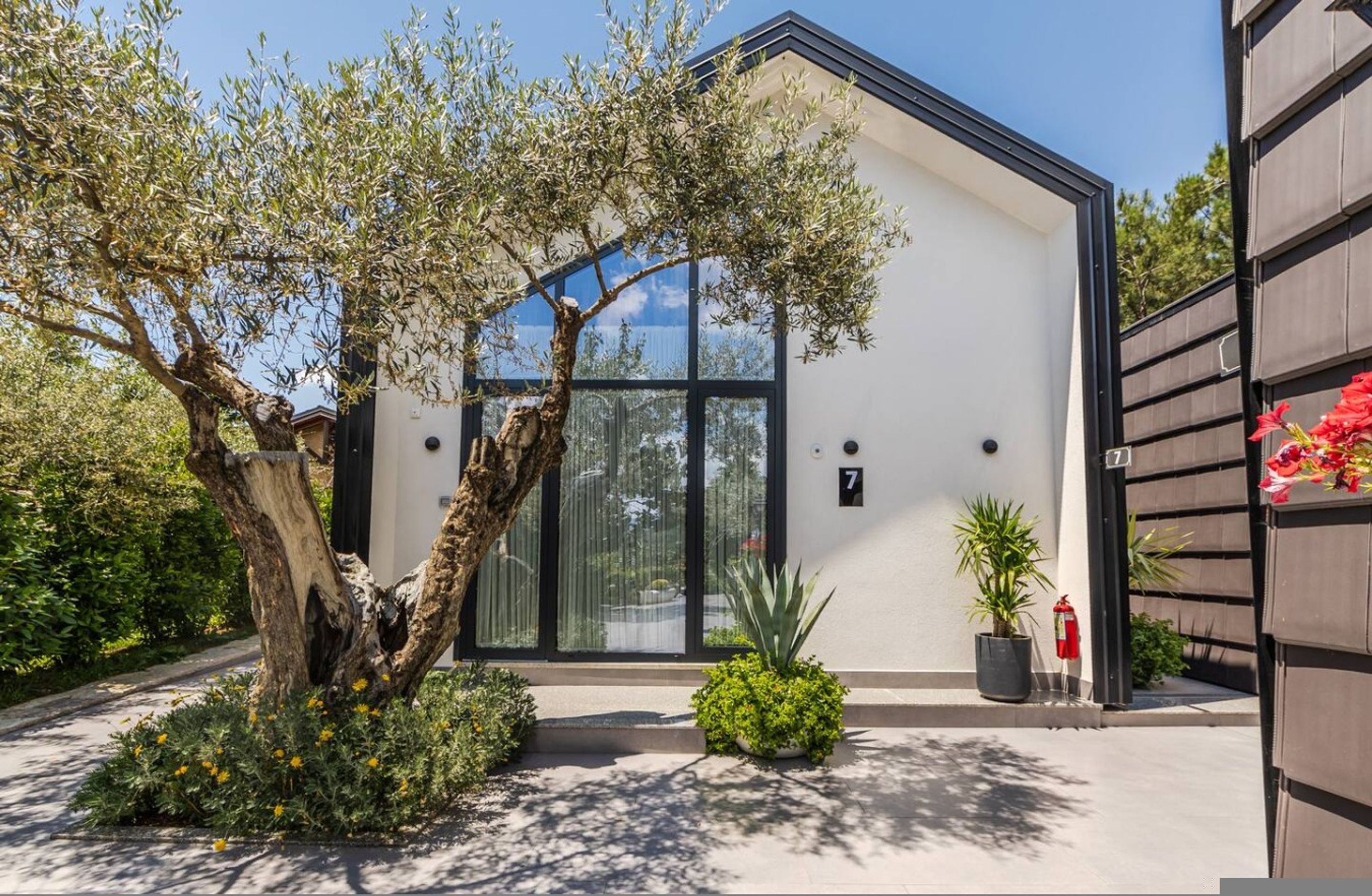 A modern building with a large tree in front, a fire hydrant, and a potted plant.
