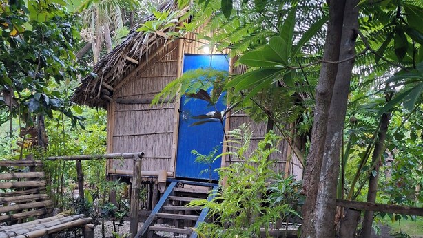 Una struttura in legno rustica con una porta blu, circondata da fitta vegetazione e terreno sterrato.