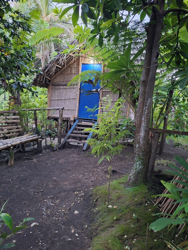 Une construction rustique en bois, dotée d’une porte bleue, entourée d’un feuillage dense et posée sur un sol en terre battue.