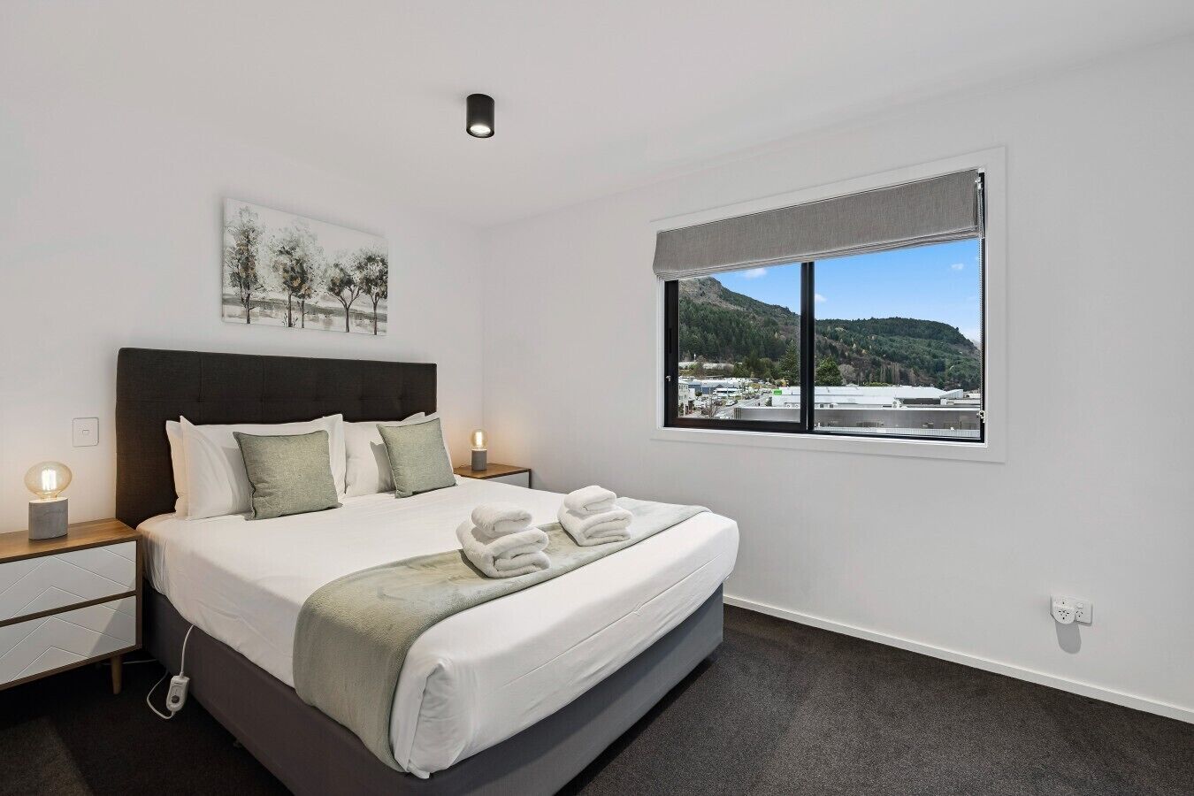 A bedroom with a bed, nightstands, a bedside lamp, a window with a view, and a ceiling light.