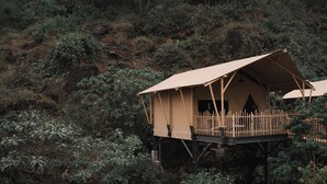 A high-rise treehouse with a wooden deck and a covered entrance.