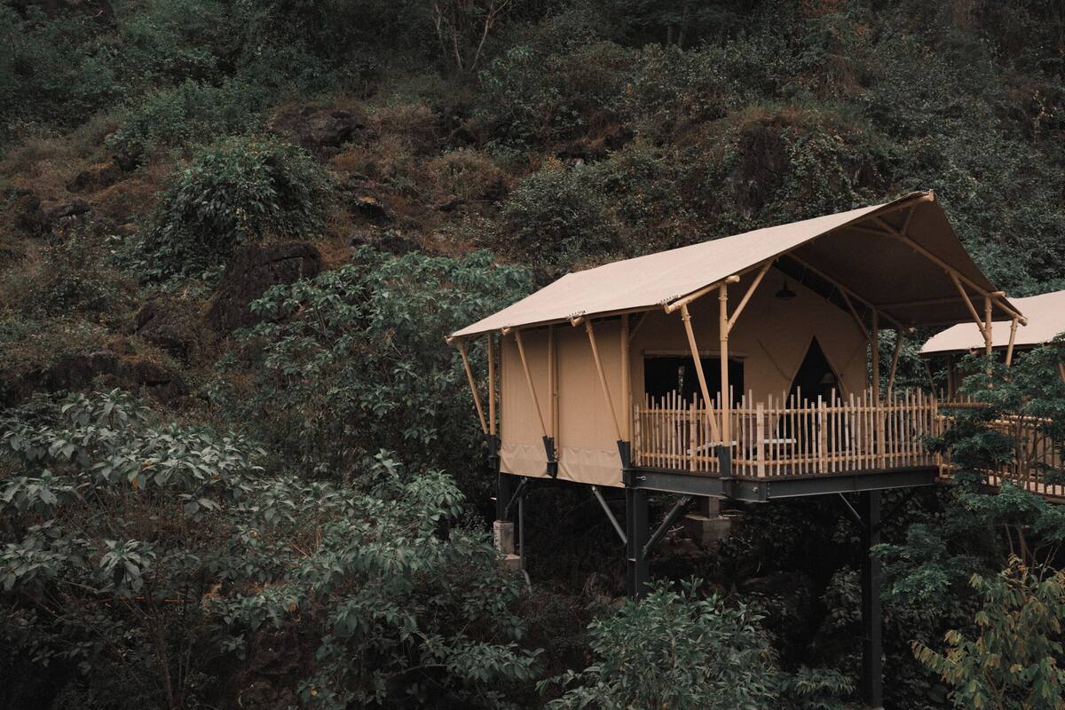 Una casa en los árboles de altura considerable con una terraza de madera y una entrada cubierta.