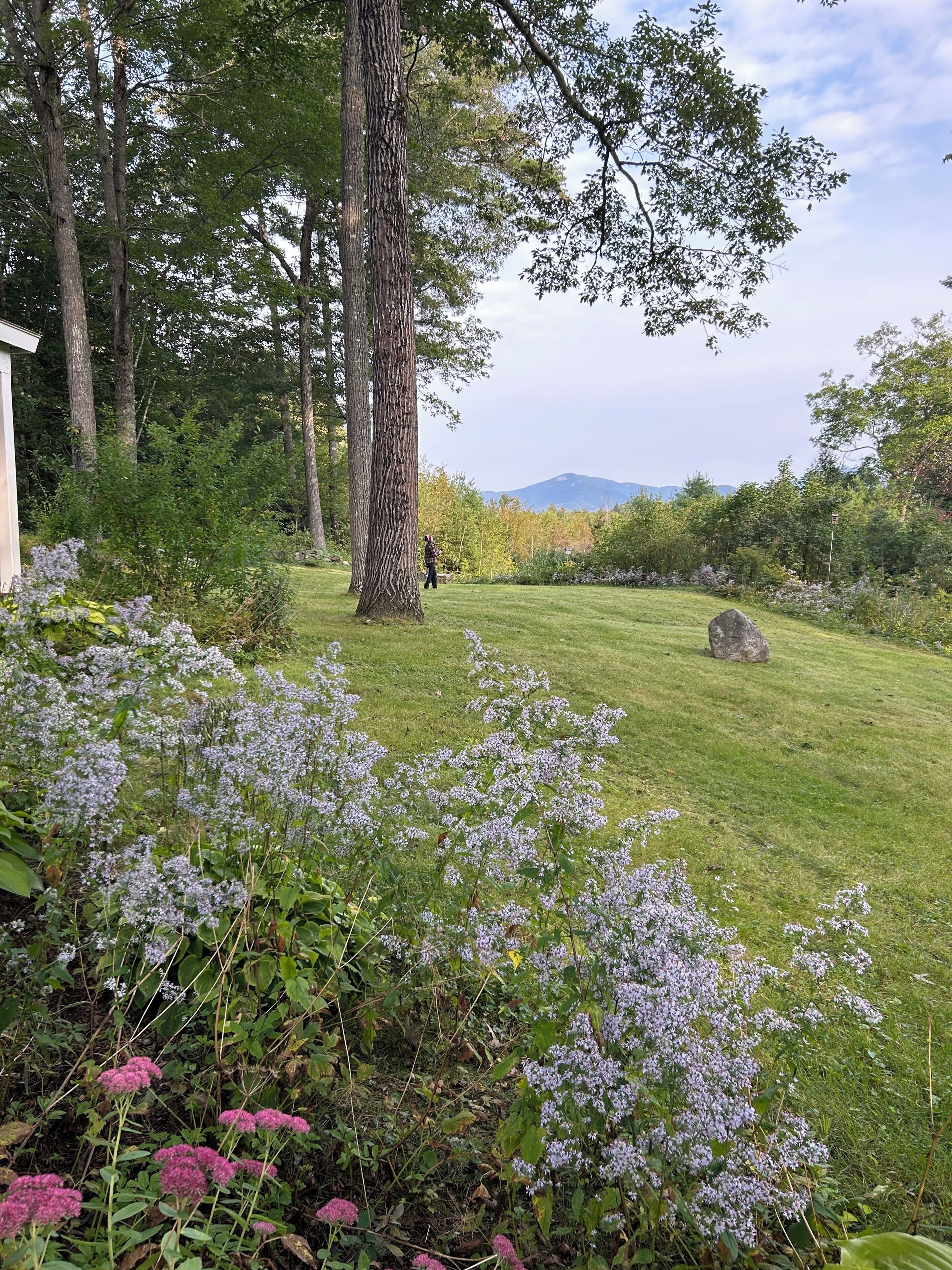 Terrain de l’hébergement 