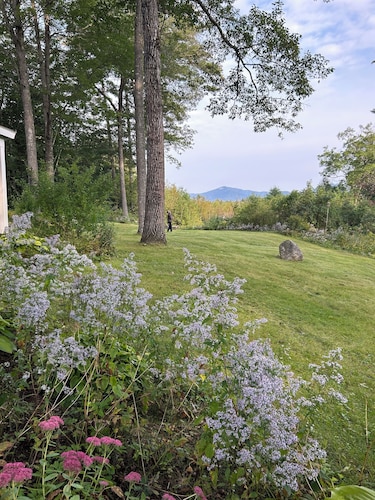 Private mountain retreat with trout pond on 17+ acres of meadow and forest.