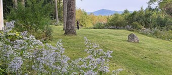 Private mountain retreat with trout pond on 17+ acres of meadow and forest.
