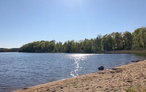 Ein See mit Sandstrand und bewaldeter Uferlinie.