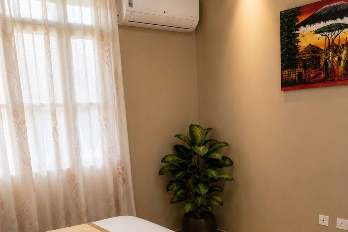 Habitación de hotel con cama, planta en maceta, un cuadro y un equipo de aire acondicionado.