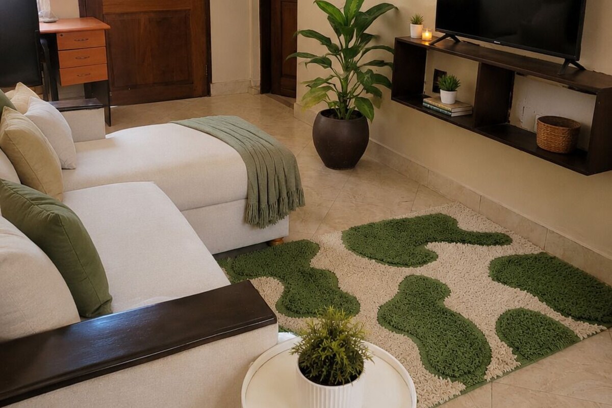 A room with a sofa, a television, a potted plant, and a door.