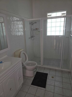 A bathroom with a toilet, a shower enclosure, a sink, and a mirror. - 1947 Heritage House in Armadale (Armadale)