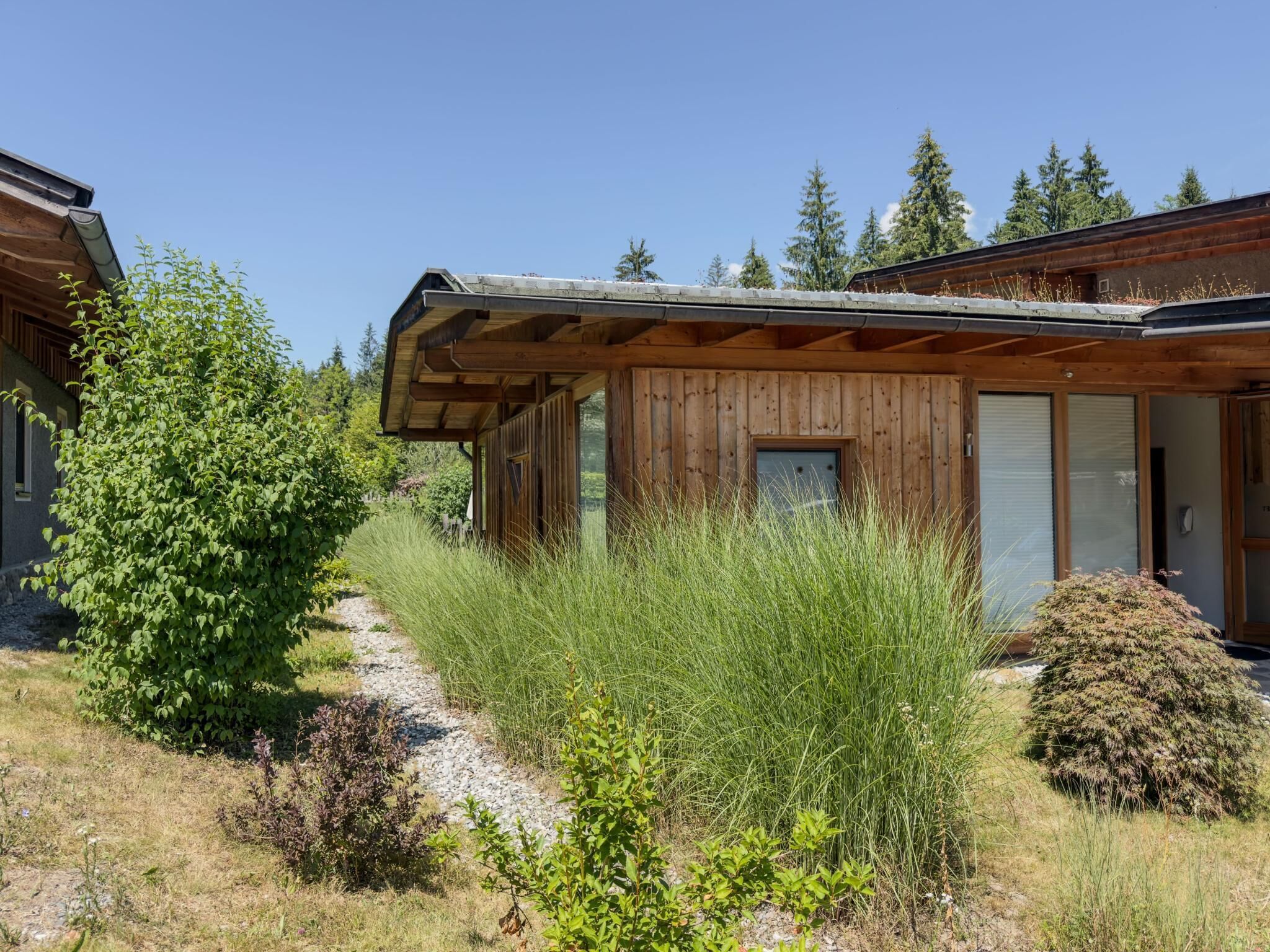 Une cabane en bois rustique, avec un chemin de gravier menant à l’entrée, entourée d’herbes hautes et d’arbres.