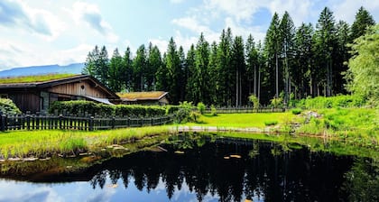 Chalet with sauna near Nassfeld-Pressegger See