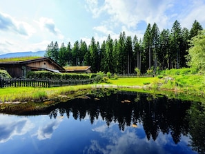 Eine Hütte mit Teich, umgeben von Wald und klarem Himmel.