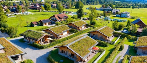 A village with traditional houses featuring green roofs, surrounded by lush greenery and mountains.