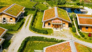 Un conjunto de cabañas de madera con techos verdes, dispuestas alrededor de un sendero central y un pequeño estanque.