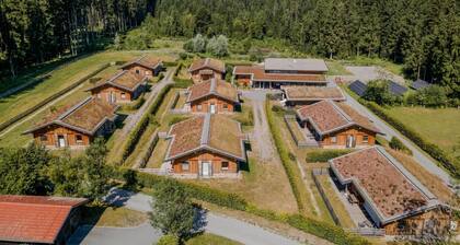 Chalet for a relaxing vacation with a dog