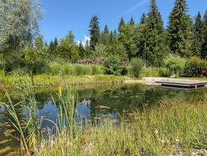 A tranquil pond surrounded by lush greenery and trees.