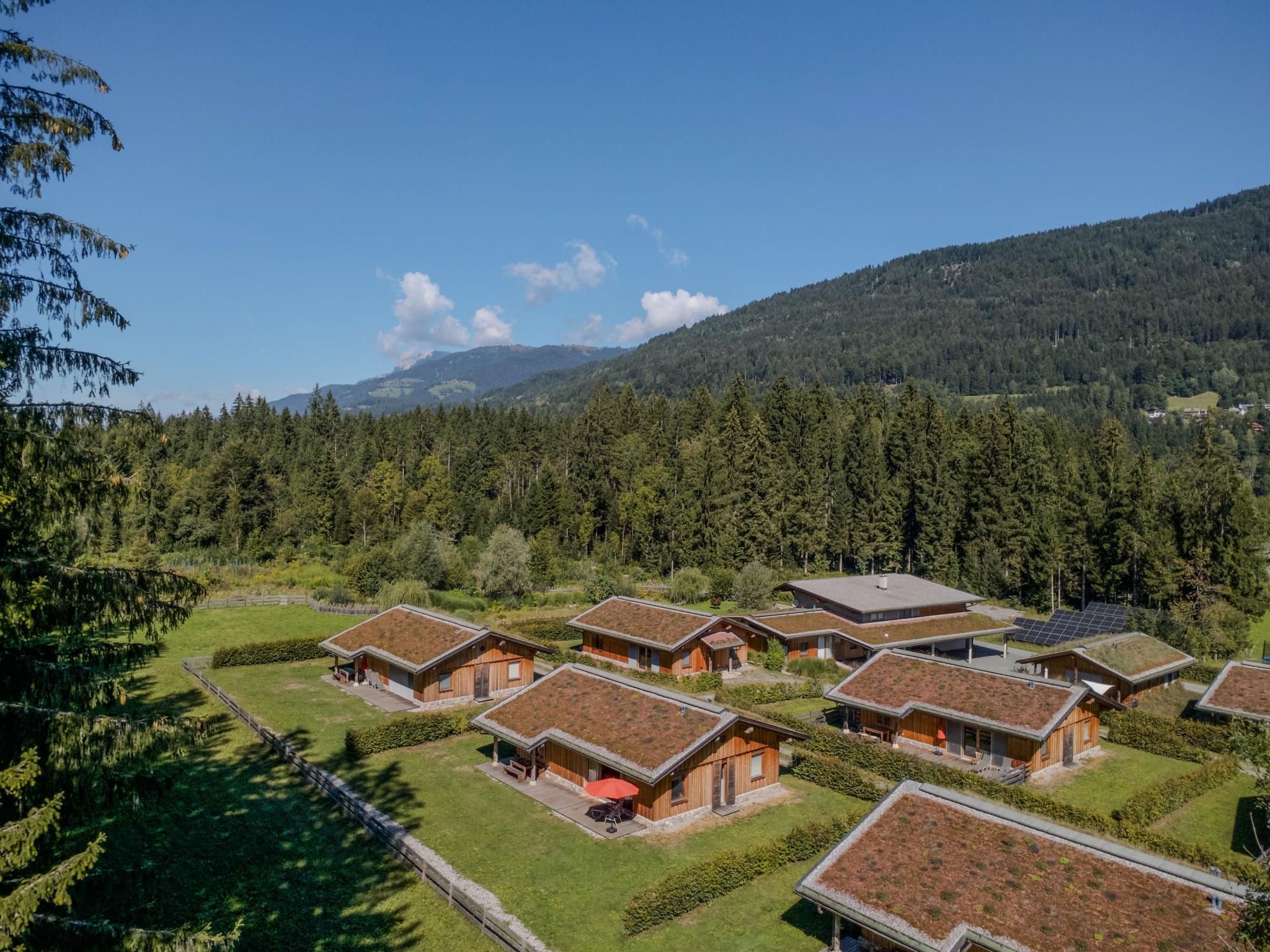 Eine Gruppe moderner Hütten mit flachen Dächern, umgeben von dichtem Wald und Bergen im Hintergrund.