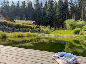 Eine Holzterrasse mit Buch und Kissen, ein Teich, ein Holenzaun und ein Wald im Hintergrund.