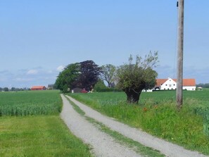 A rural road leading to a white house with a red roof, surrounded by fields and trees.
