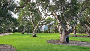 A park with green grass, trees, and a bench. - Villa #91 South Shores ~ The golden hour (Normanville)