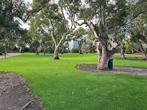 A park with green grass, trees, and a bench.