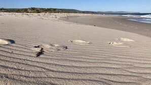 Une plage de sable avec des empreintes et un ciel dégagé.
